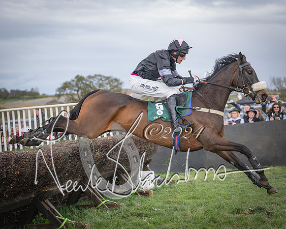 Race 3 - 5 years old and Over Maiden Race (65 of 130)