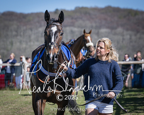 Race 2 - The Maiden (6 of 118)