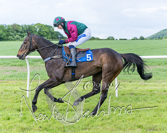 Race 5 - Restricted Race (118 of 434)