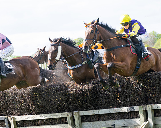 Race 4 -  2M4F Conditions  (60 of 102)