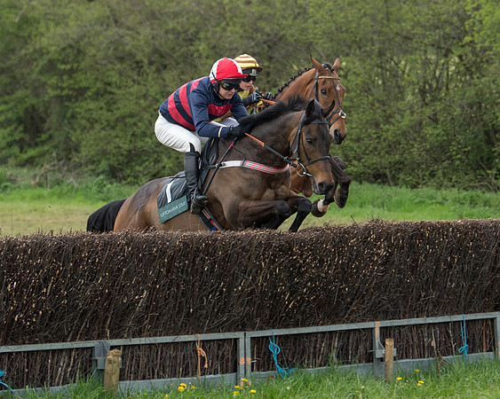 Race 2 - Jockey Club ROR veteran Horse (27 of 104)