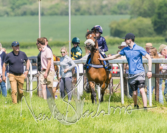 Pony Races  (4 of 141)