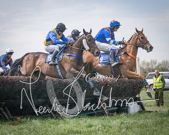 Race 2 - The Elliott of London maiden race (40 of 137)
