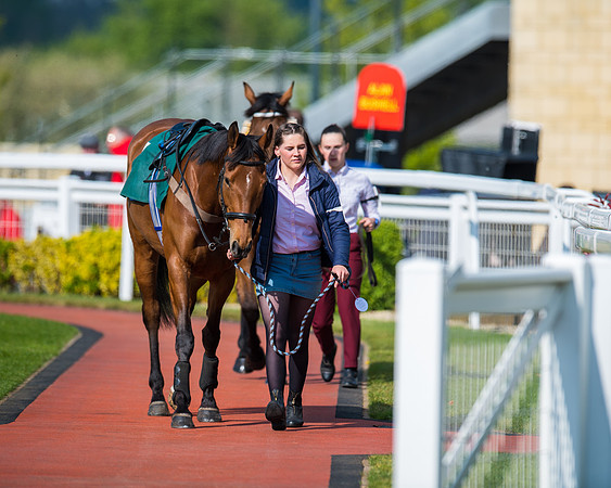 Race 1 - The open Hunter chase  (16 of 95)