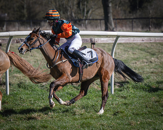 Pony Races (32 of 112)