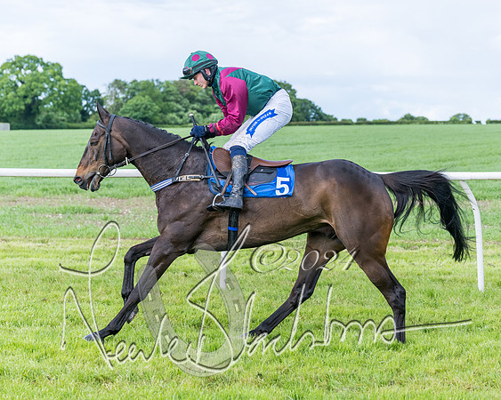 Race 5 - Restricted Race (119 of 434)