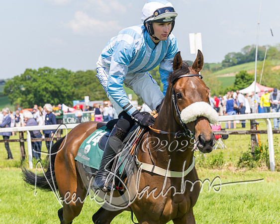 Race 2 - The Maiden  (88 of 442)