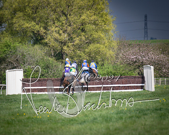 Race 2 - The Elliott of London maiden race (60 of 137)