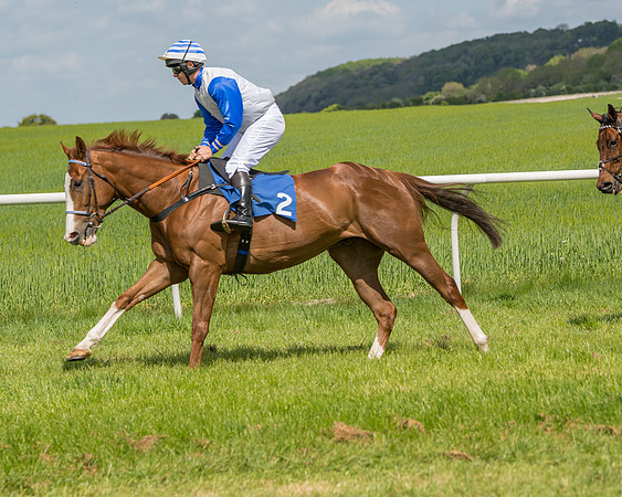 Race 2 - Restricted  (33 of 90)
