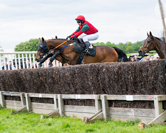 Race 2 - Veteran Horse (13 of 80)