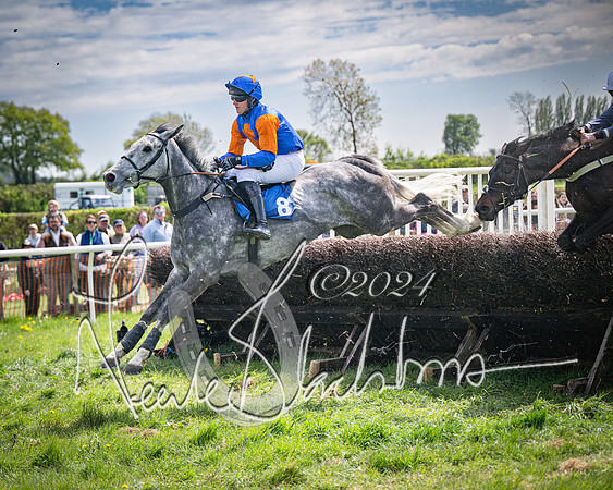 Race 2 - The Elliott of London maiden race (85 of 137)