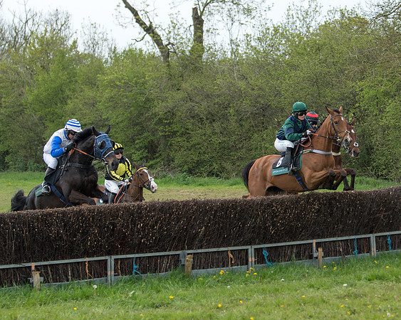 Race 2 - Jockey Club ROR veteran Horse (31 of 104)