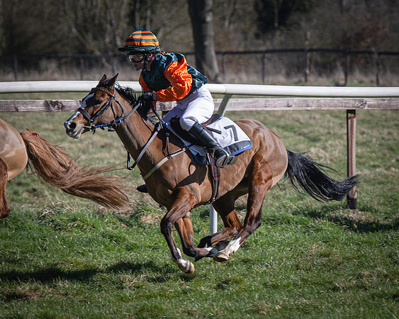 Pony Races (31 of 112)