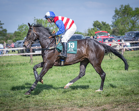 Race 6 - 2m5f Conditions (20 of 70)