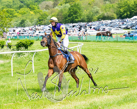 Race 2 - Restricted  (145 of 308)