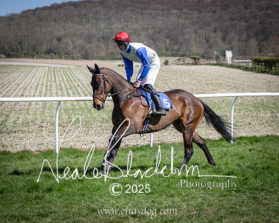 Race 2 - The Maiden (43 of 118)