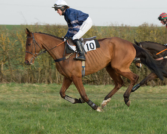 Race 6 - Open Maiden Race (13 of 99).jpg
