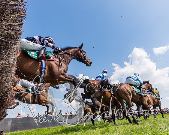 Race 2 - The Maiden  (171 of 442)
