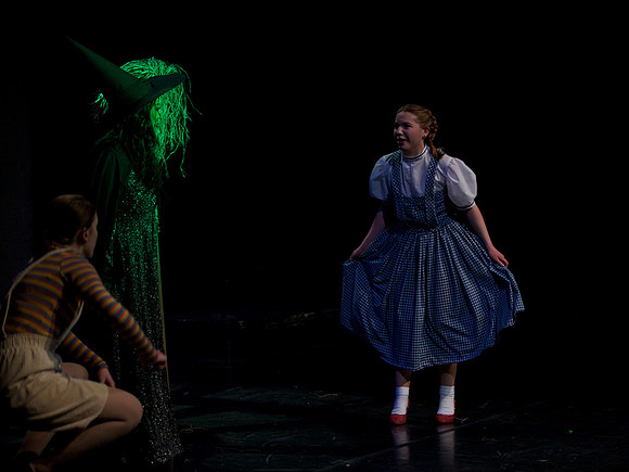The Wizard of OZ -  343
