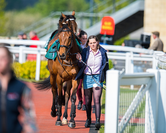 Race 1 - The open Hunter chase  (25 of 95)