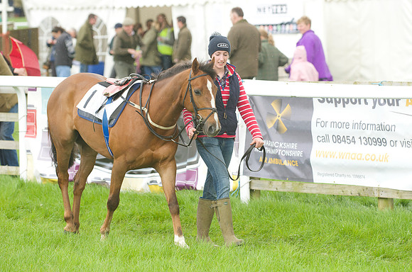 Pony Race - 2    10