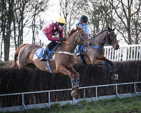 Race 6 - PPORA Novice Riders (34 of 95)