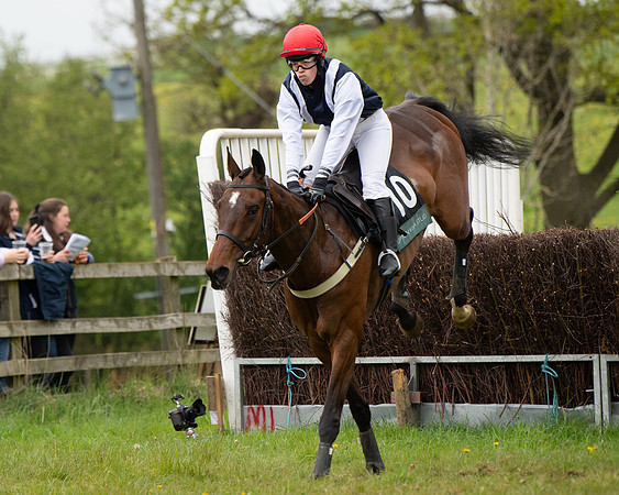 Race 7 - Open Maiden  (42 of 106)