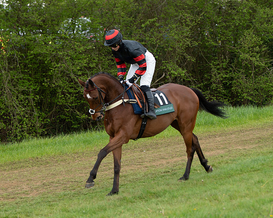 Race 2 - Jockey Club ROR veteran Horse (5 of 104)
