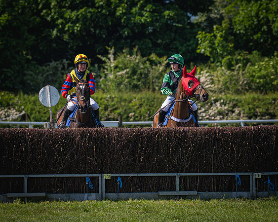Race 3 The College and County Ladies Open Race (23 of 122)