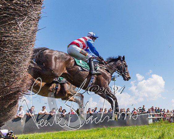 Race 1 - Members (174 of 312)