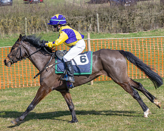 Pony Race 2 - 138cm (61 of 65)