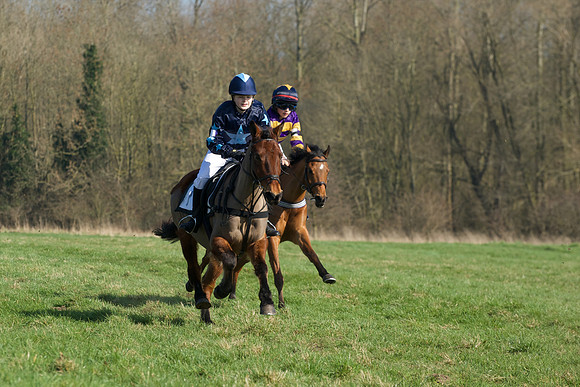 Pony Races -  29