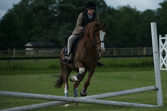 SOHS PC Summer Show at BCA 17th June 2012