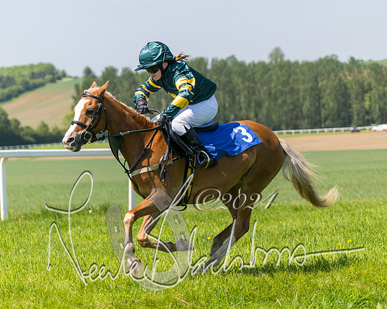 Pony Races  (43 of 141)