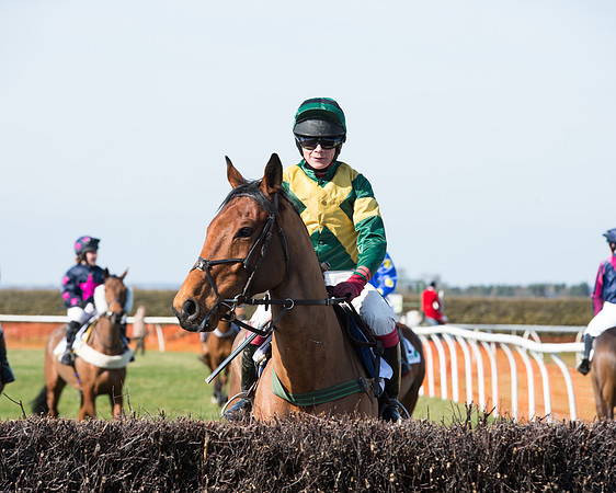 Race 2 - Open Maiden Div 2 (40 of 124).jpg