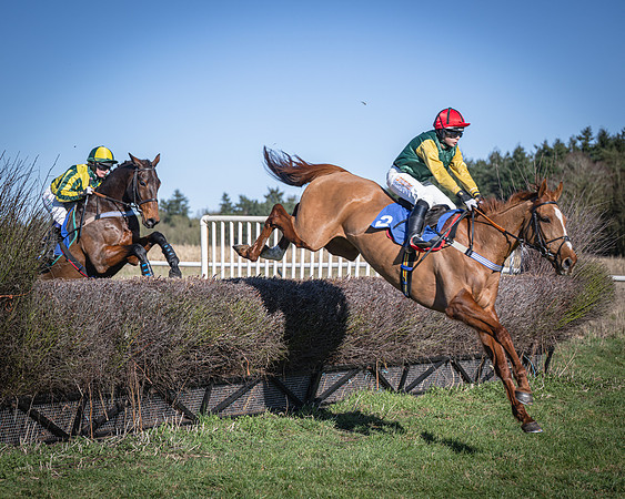 Race 3 - Ladies Open (12 of 56)