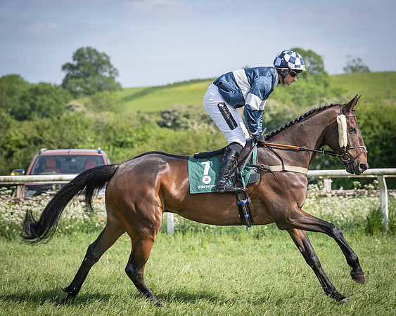 Race 5 - Restricted (38 of 116)