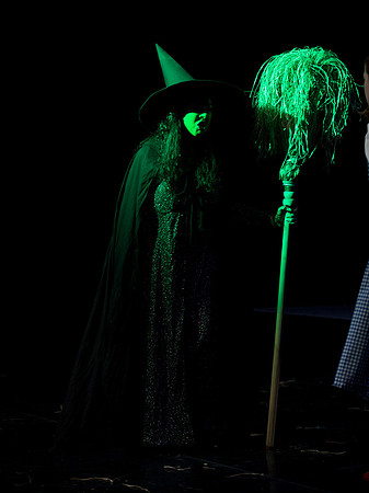 The Wizard of OZ -  342