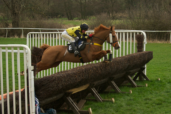 Race 5 - 60
