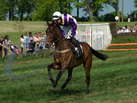 picture-7