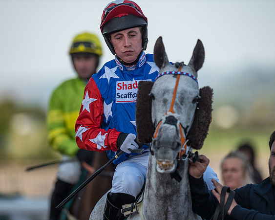 Race 3 - KTDA Hunters' Steeple Chase  (80 of 226)