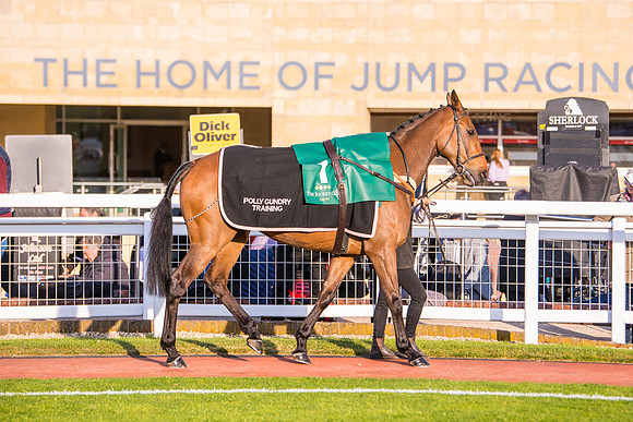 Race 5 - ITM Mares'  (8 of 181)