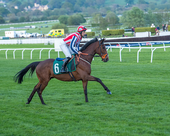 Race 7 - Glos Hussars  (107 of 245)