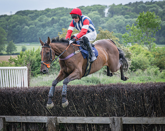 Race 6 - 2M4F Maiden (14 of 85)