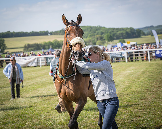 Race 5 - Restricted (21 of 116)
