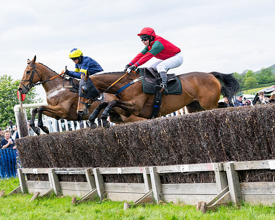 Race 2 - Veteran Horse (43 of 80)