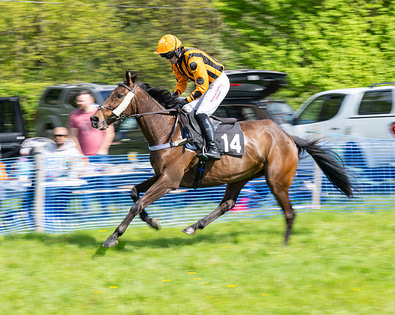 Race 4 -  2M4F Conditions  (10 of 102)