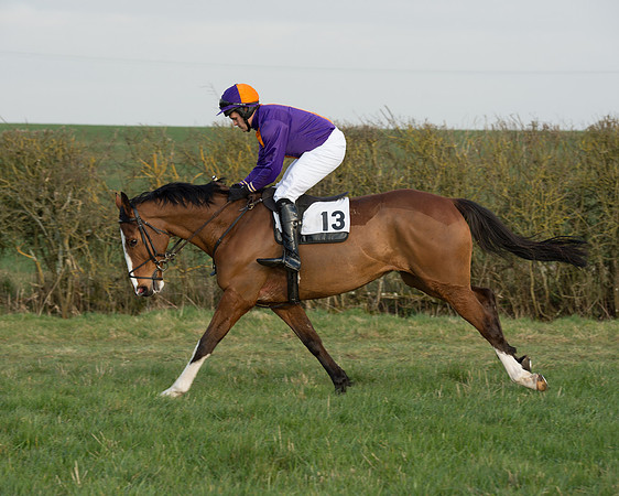 Race 6 - Open Maiden Race (27 of 99).jpg