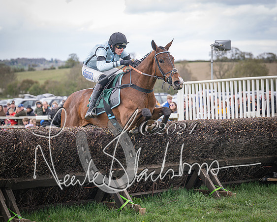 Race 2 - Tattersalls Cheltenham 4 year old Maiden (59 of 85)