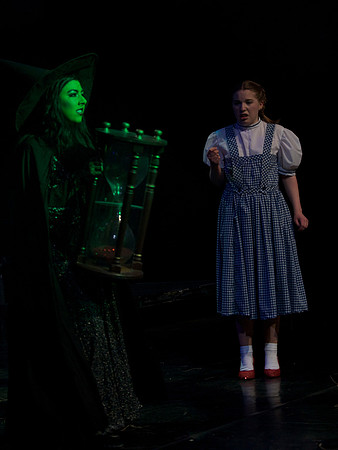The Wizard of OZ -  347